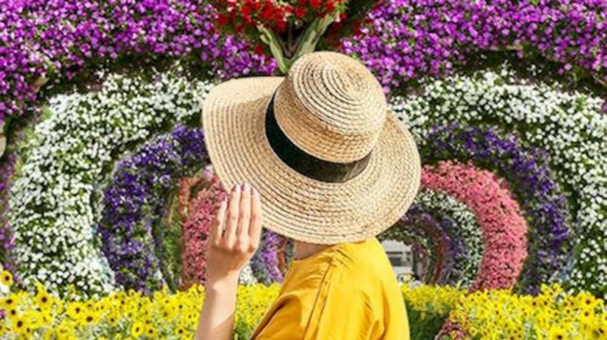 Dubai Miracle Garden: Entry Ticket + Hotel Transfer Transfer Services - Main Image