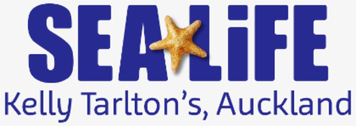 SEA LIFE Kelly Tarlton's - Main Image