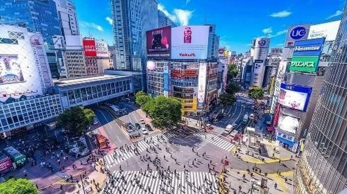 Tokyo Private Tour English Driver - Main Image