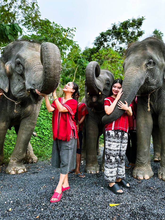 Kerchor Elephant Family Phuket - Main Image