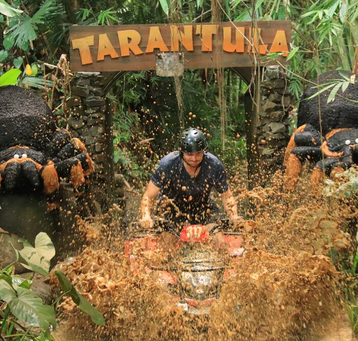 22220b3f-e569-491e-97dc-d88812403420_alt