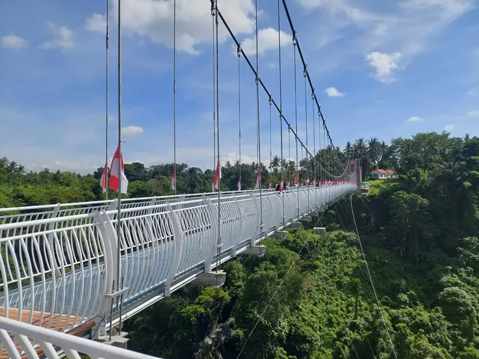 17937ad7-f2fa-476d-81b0-4bf27be4b719_alt