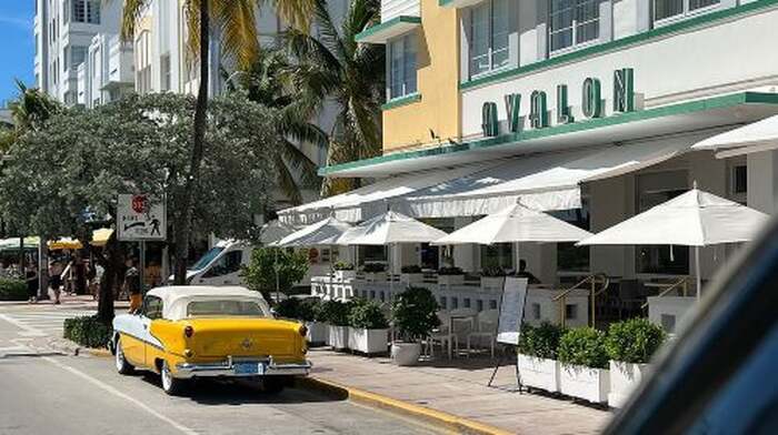 Coming to Miami? Start Here! Traveler's Guide to Miami City Tour! Day Tours - Main Image