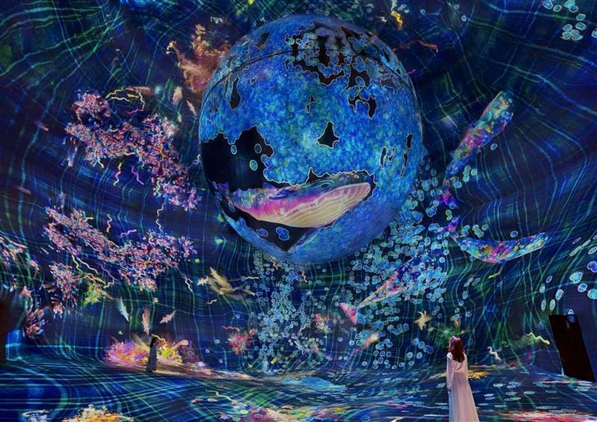 teamLab Phenomena Abu Dhabi - Main Image