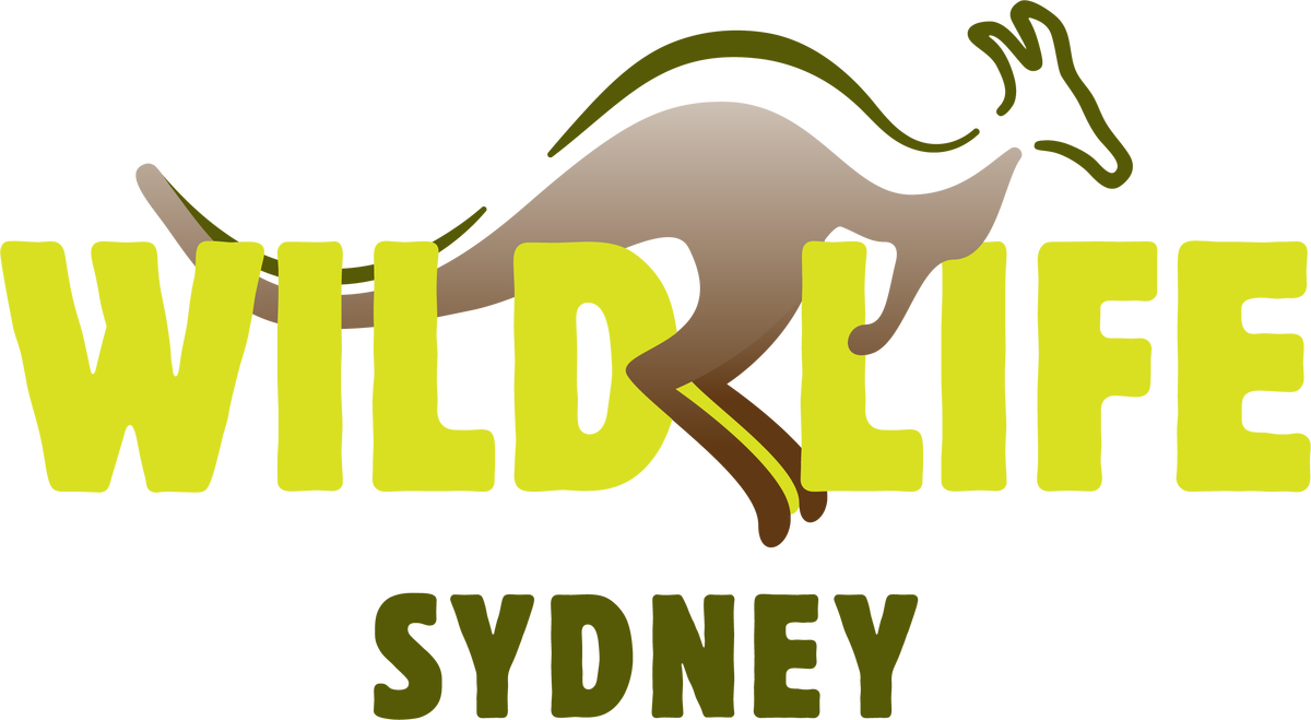 WILD LIFE Sydney - Main Image