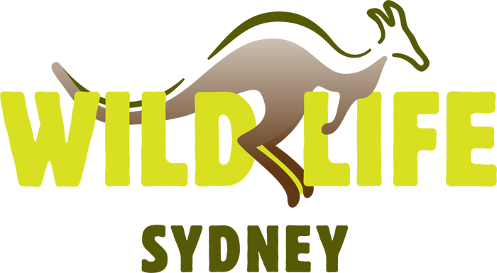 WILD LIFE Sydney - Main Image