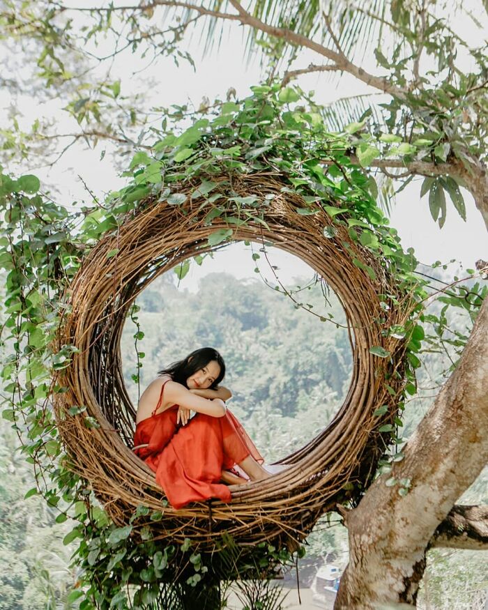 0daba76d-329a-4e52-8b1d-91c5dc80a6bb_alt