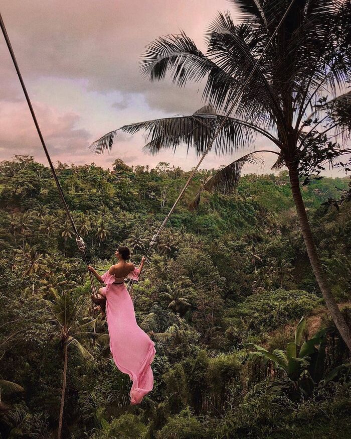 1d4e0f51-07c8-49ad-b373-7143057e9d8a_alt