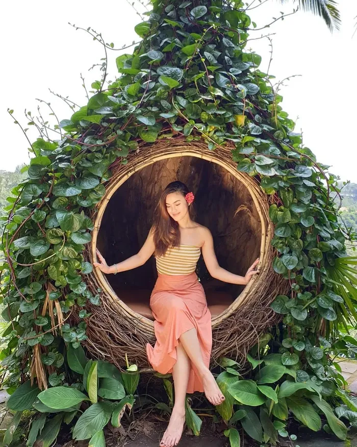 70e91915-cef6-48cc-bb99-7fb5780848b8_alt