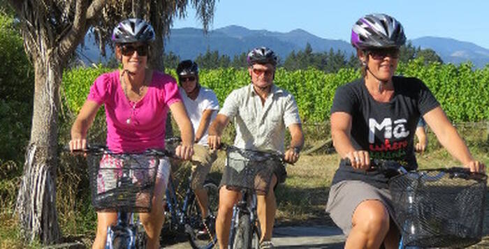 Half Day Guided Biking Wine Tour - Main Image