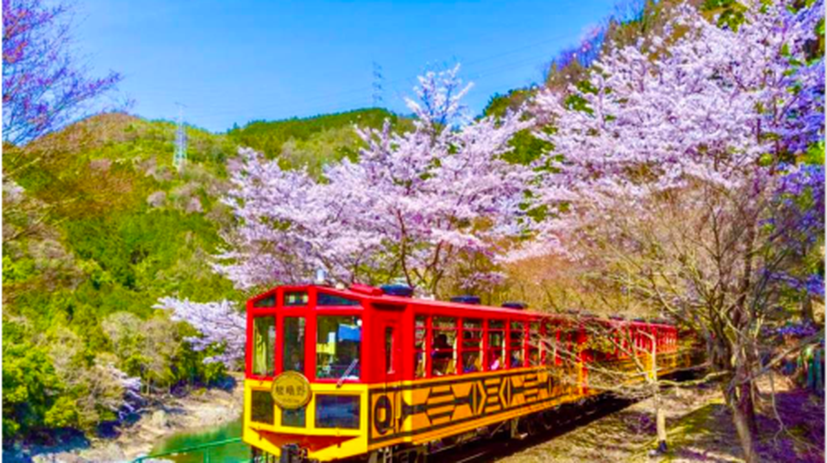 1-day tour to Arashiyama, Nara Park, Fushimi Inari Taisha, and Togetsukyo Bridge - Departing from Osaka Day Tours - Main Image