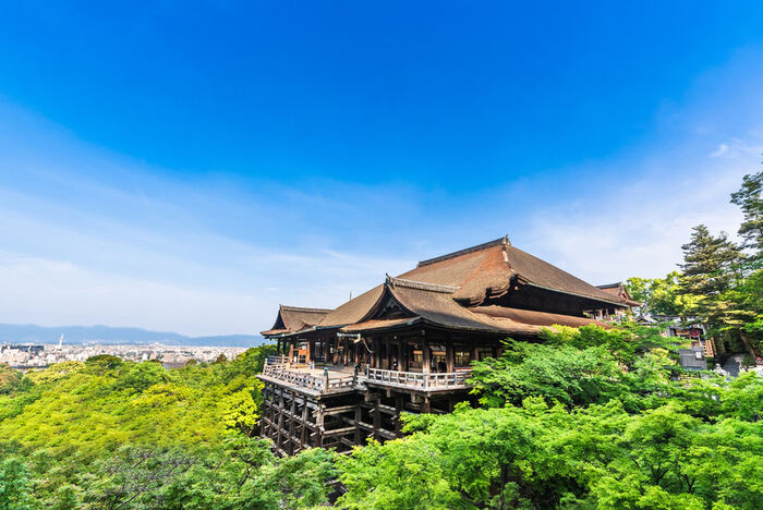 Kyoto Nara One Day Tour - Main Image