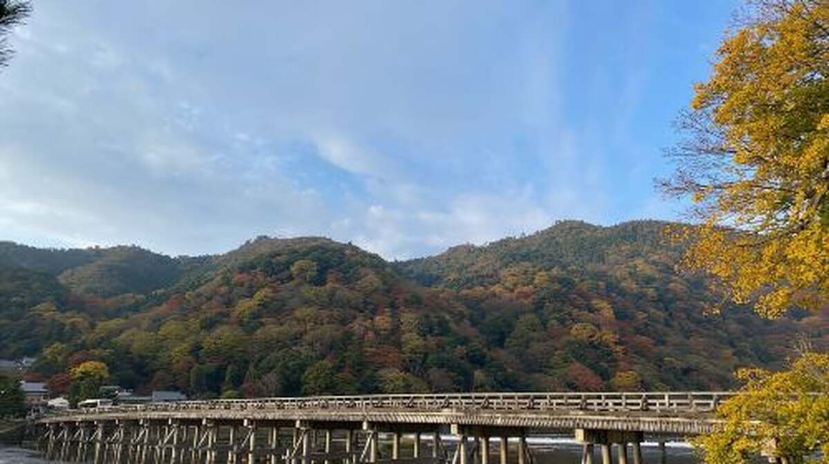 Kyoto: Arashiyama Guided Tour, Bamboo, Monkey, Zen Temple Day Tours - Main Image
