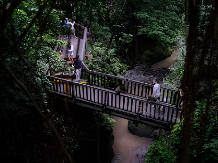 c98b3ab2-fd9a-4e00-a716-78c80bb35f12_alt