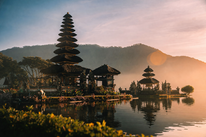 8e1c1cc6-b9e8-4096-bb09-825390ee7a7d_alt