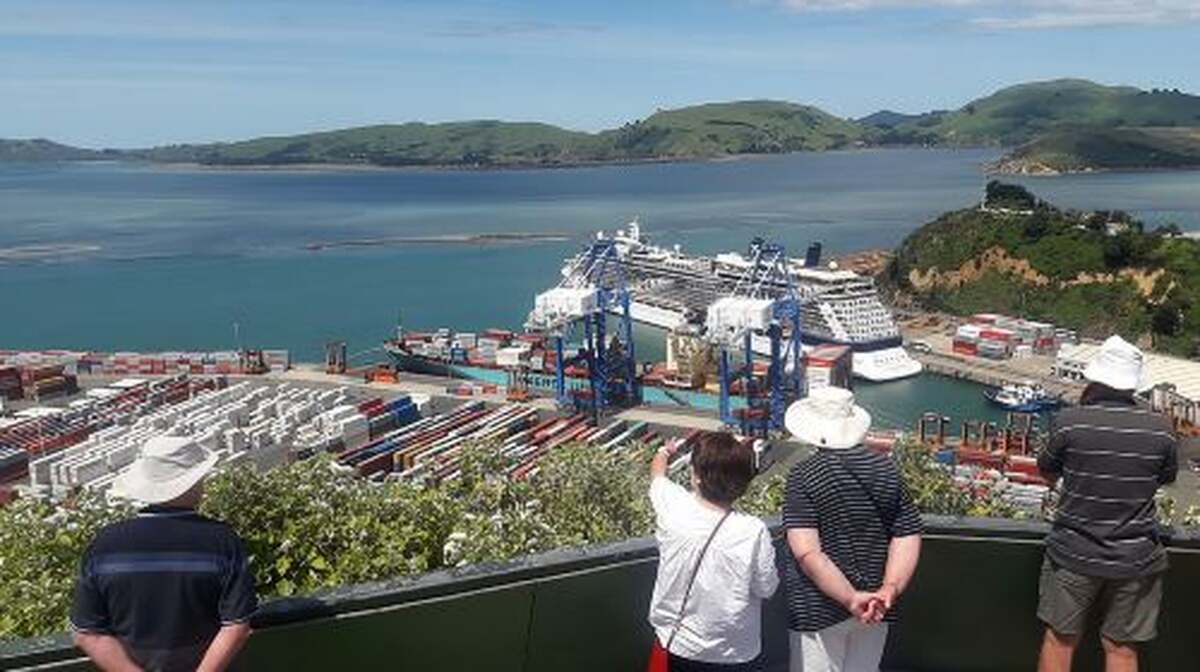 Dunedin Nature & City Tour – Full Day Cruise Excursion Day Tours - Main Image