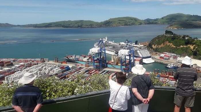 Dunedin Nature & City Tour – Full Day Cruise Excursion Day Tours - Main Image
