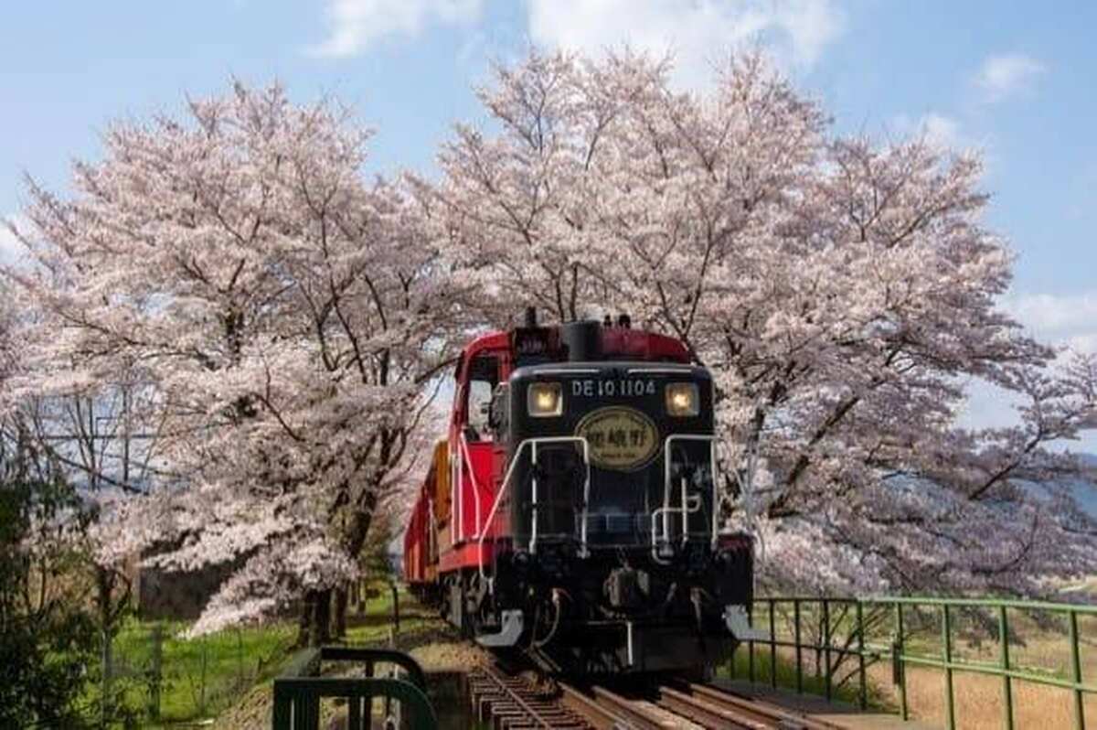 Sagano Romantic Train - Main Image