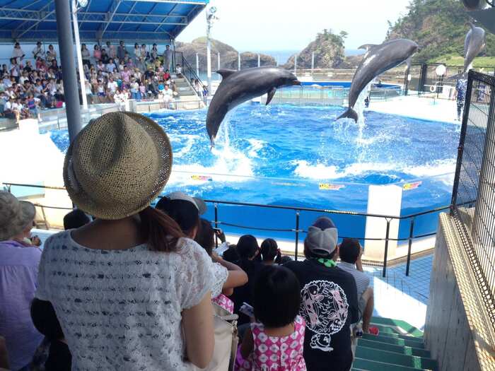 Echizen Matsushima Aquarium - Main Image