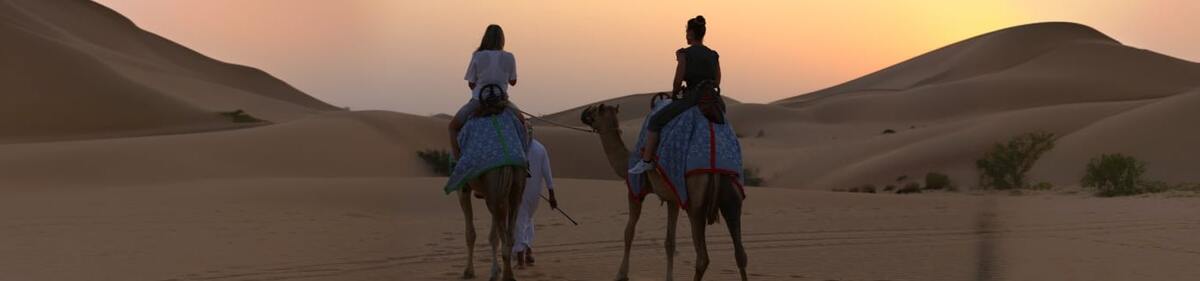 Morning Safari - Main Image