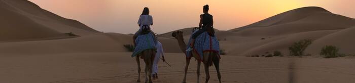 Morning Safari - Main Image