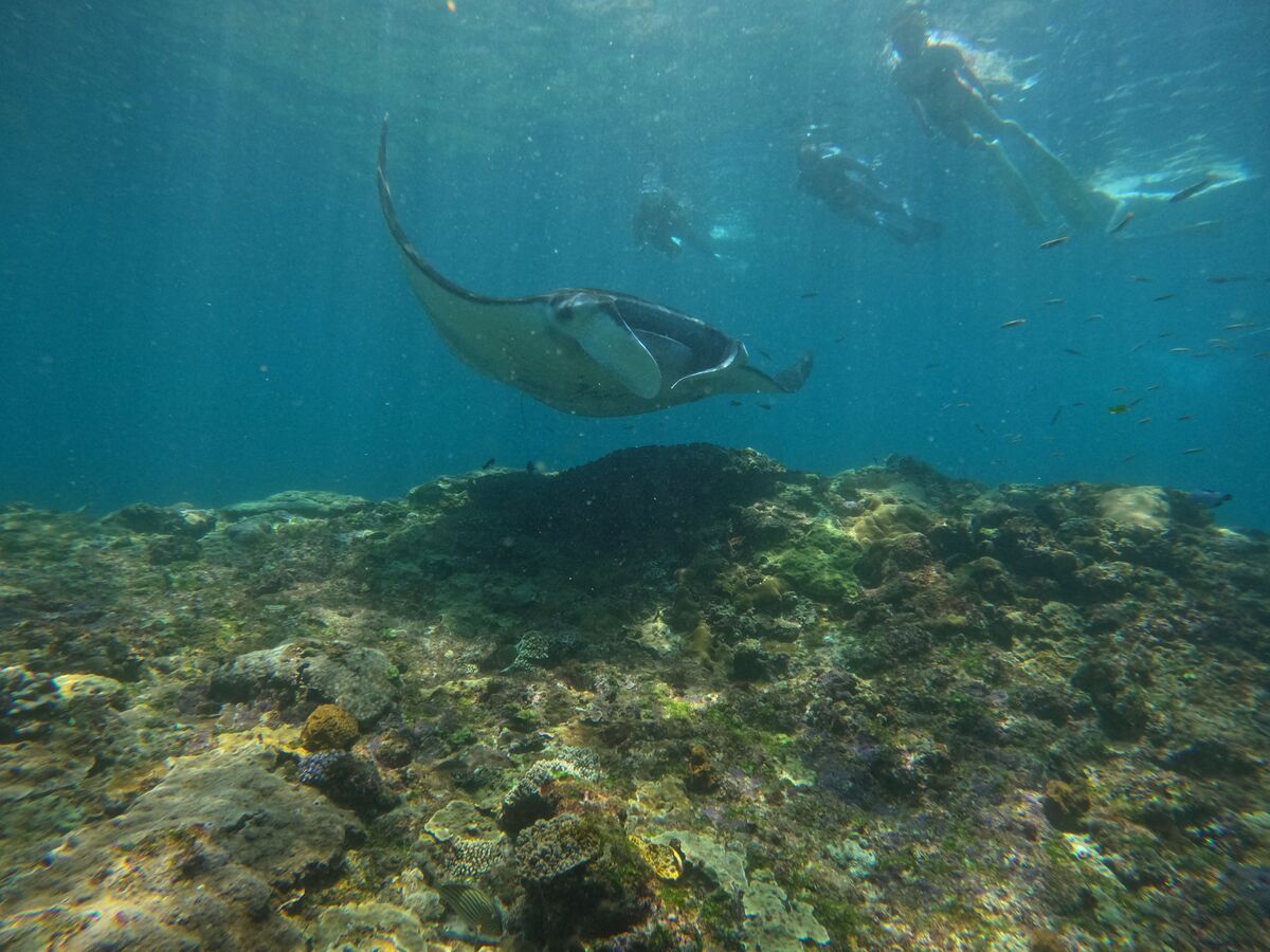 Lembongan Island Explore - Main Image