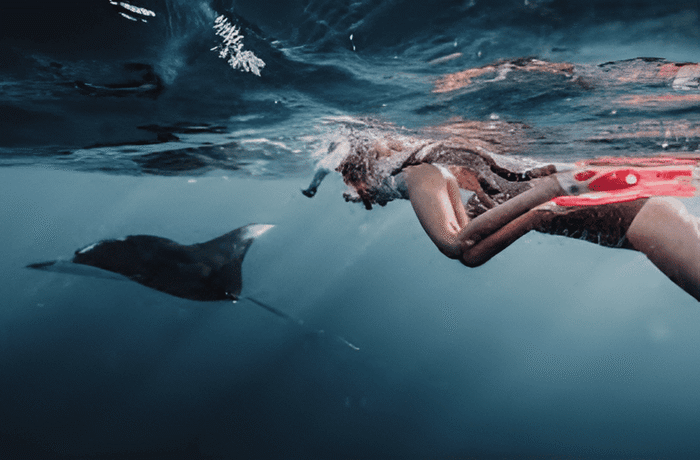 993214cd-2d8d-4c1c-9f77-192d95d7f9a0_alt