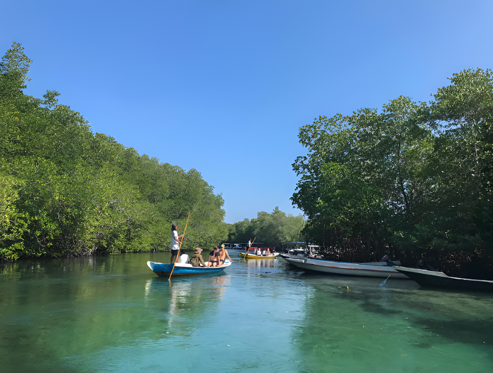 9f85f710-efe3-4c73-99f8-f4784d81cc23_alt