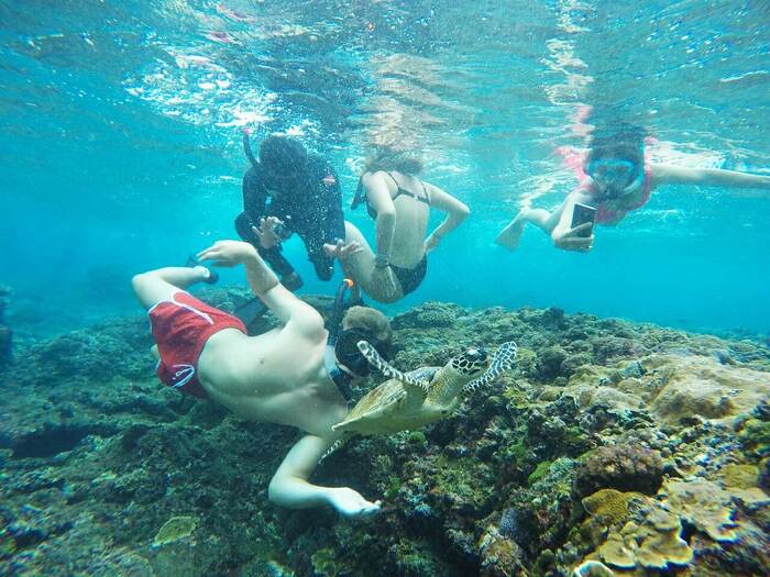 c09f4693-f327-485c-aaa3-e8f6dc46f7ad_alt