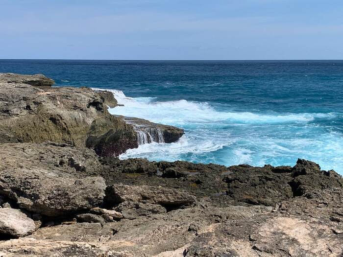 d562400b-cca0-4cc1-b12c-6a6f2ccc9795_alt