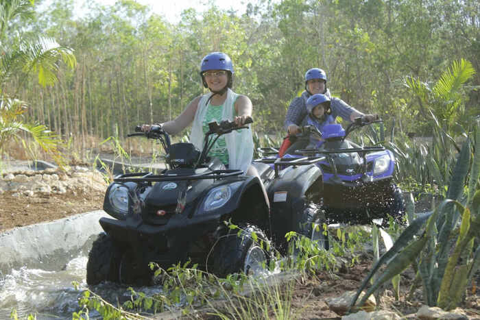 b4c62153-7c9a-4e4a-bc5c-2688f0fa9fc4_alt