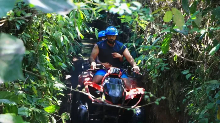 0c8cc7ef-3f0f-45c0-82e3-497e42535c69_alt