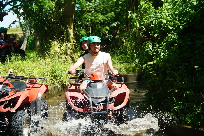 1c3c1766-c384-422c-8ebd-ae25cbfe5806_alt