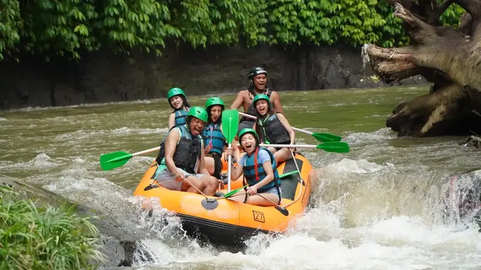 b806c774-b9b8-46d5-b255-dfbd4f547d04_alt