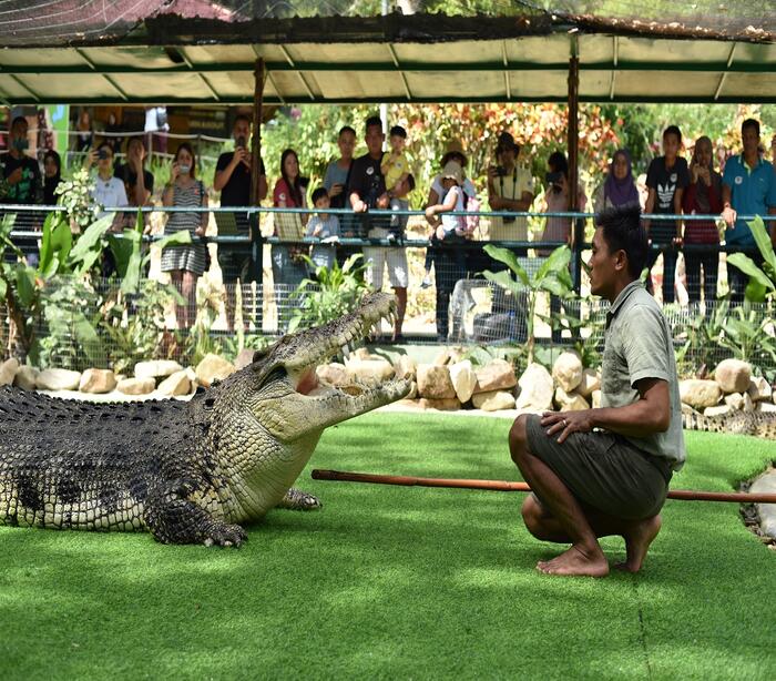 Crocodile Adventureland Langkawi - Main Image