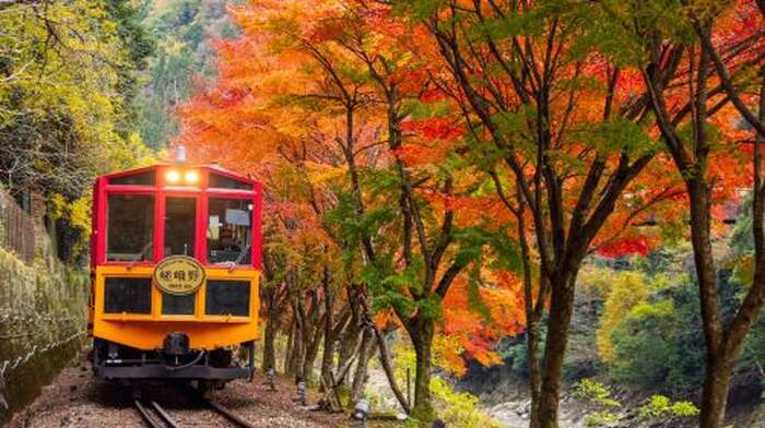 Kyoto Arashiyama + Sanzen-in one-day tour, stroll through bamboo groves Day Tours - Main Image