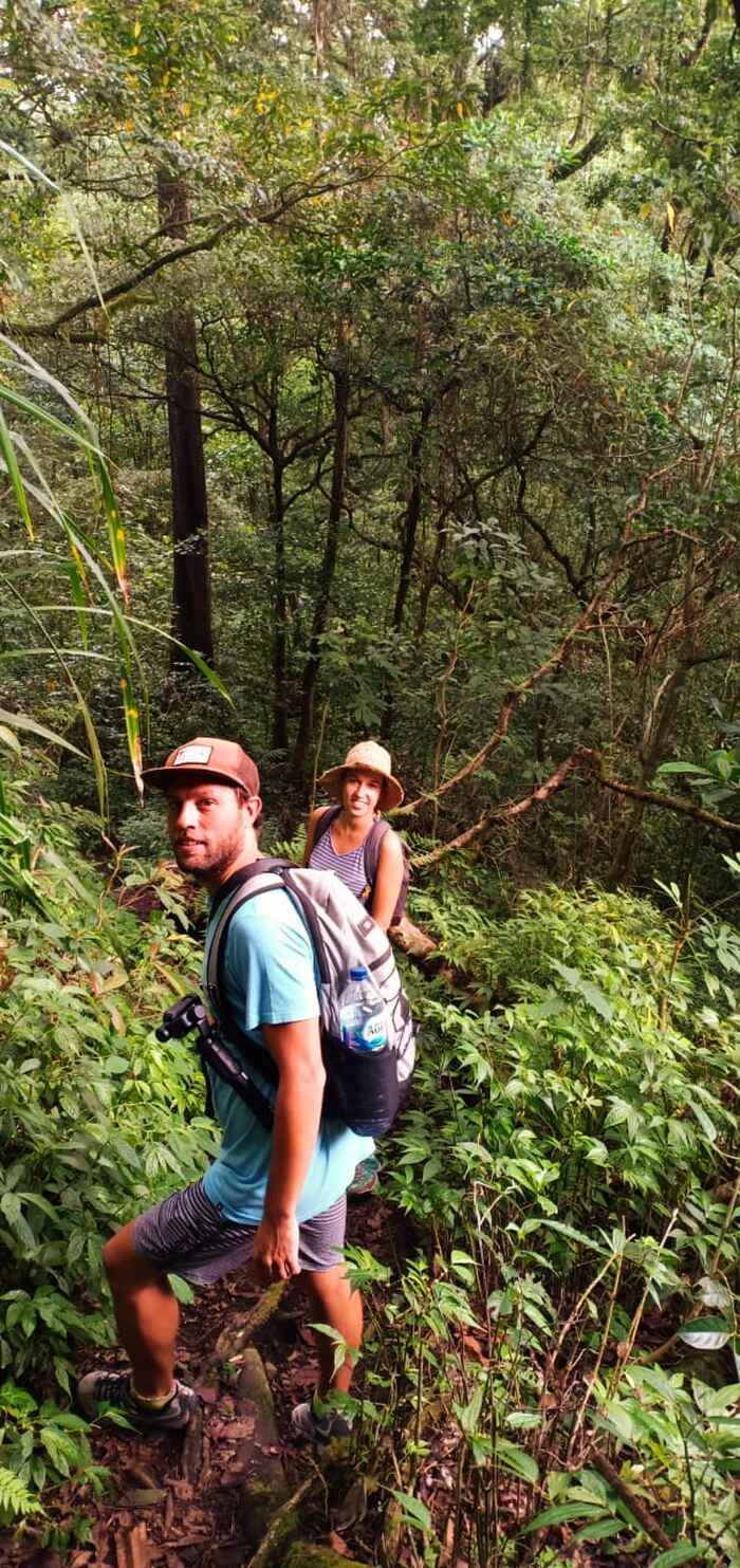 Explore The Real Jungle - Main Image