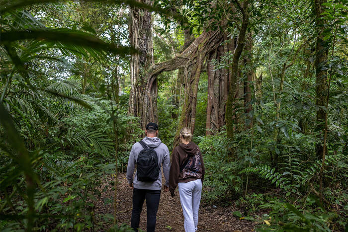 ae5632a7-1134-4ae4-a8b1-fb6735f34dfa_alt