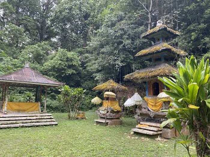 c0e65115-9c07-4d15-843a-5e6d22d91f1d_alt