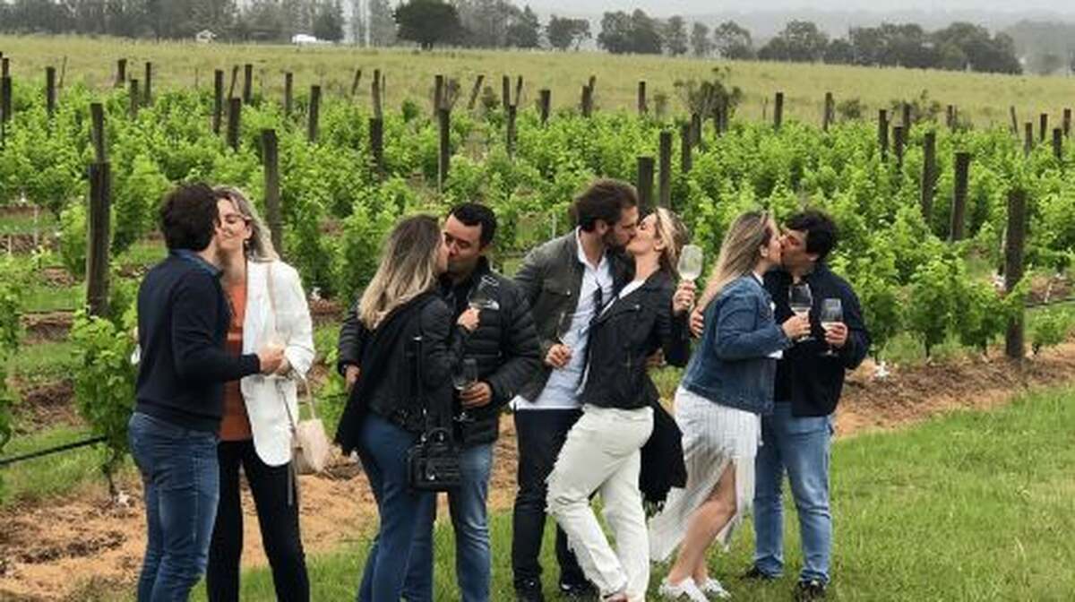 San Francisco: Napa Valley Half-Day Wine Tour with Tastings Day Tours - Main Image
