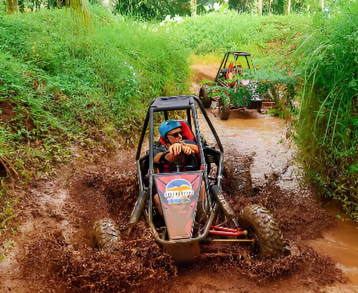 a1ee6d72-dc3c-47f2-aed1-d797e9a1bead_alt