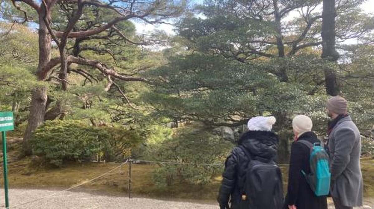 Kyoto: Nijo Castle and Kyoto Imperial Palace Guided Tour Day Tours - Main Image