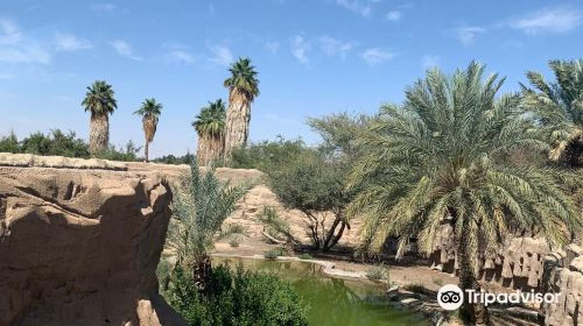Al Ain Zoo - Main Image