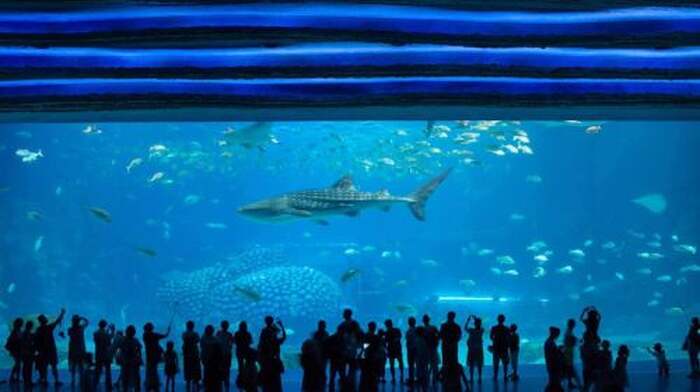 Zhuhai Chimelong Ocean Kingdom - Main Image