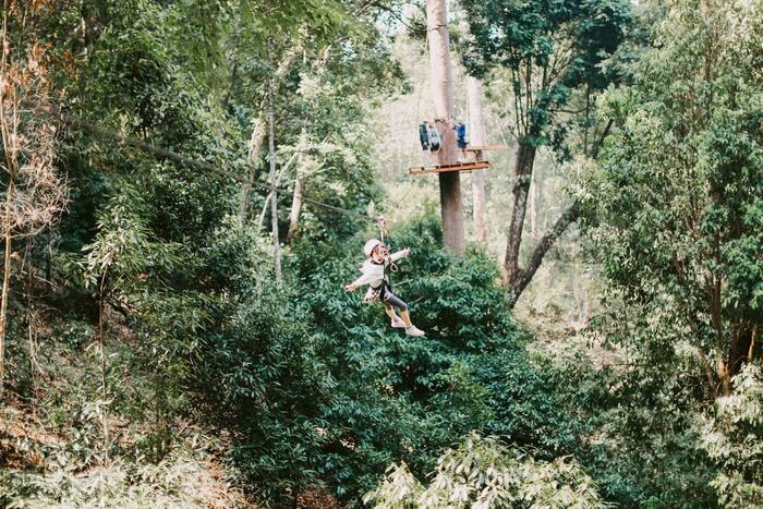 Jungle Flight Zipline Chiang Mai - Main Image