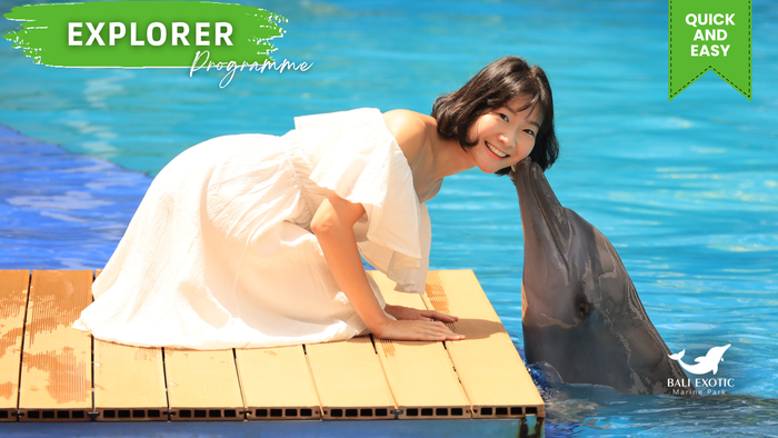 Bali Dolphin: Explorer Pass "Meet Dolphins with Afternoon Tea" - Main Image