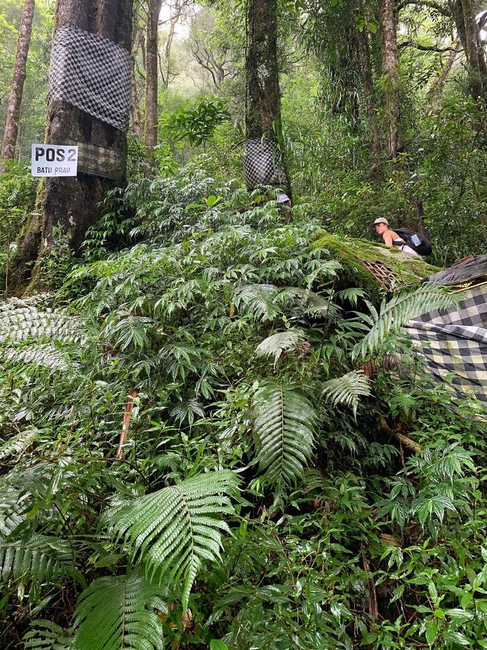 5eb029a9-16ea-43fc-b86d-6d0473ea3db6_alt