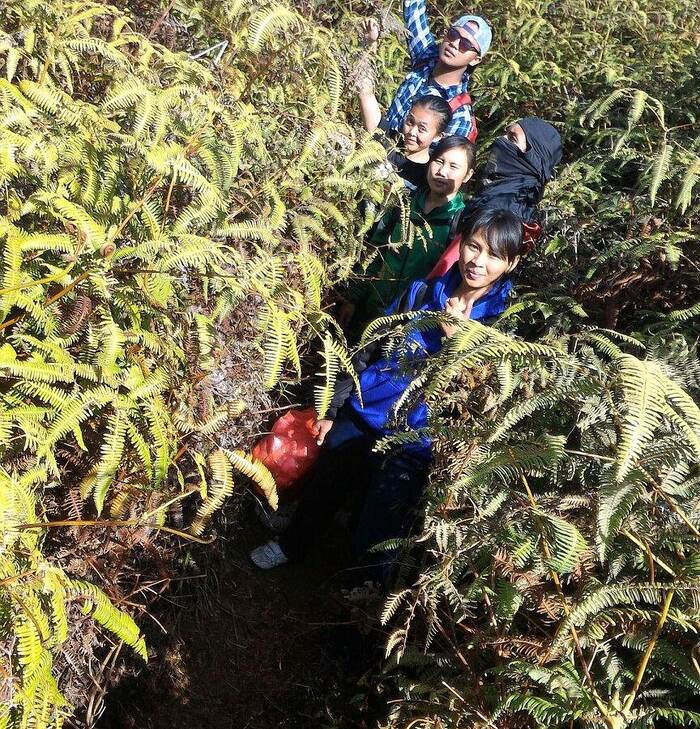 c7ccc50a-4851-4cae-979e-11f77fd91262_alt