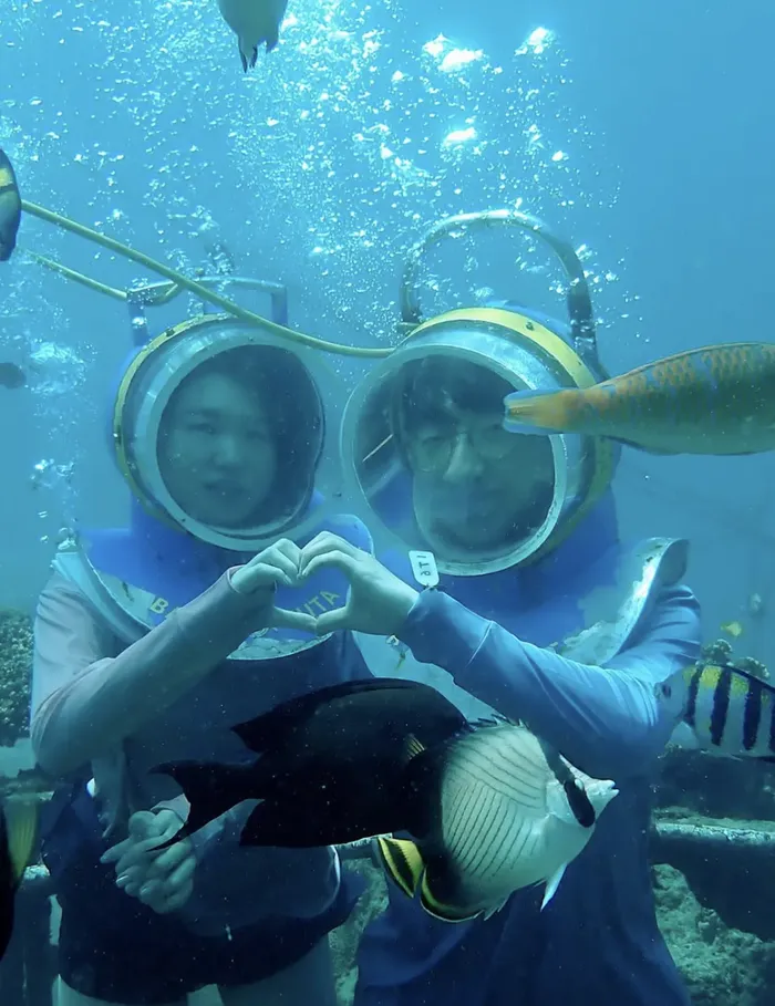 38c9bec0-bbbc-4a2e-968a-b0e579555674_alt