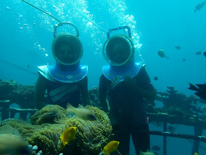 cc394a09-c795-4c9b-9479-76519c749d5f_alt